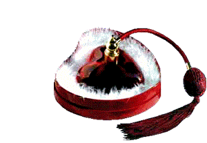 joyeuse Saint Valentin coeur ecrin